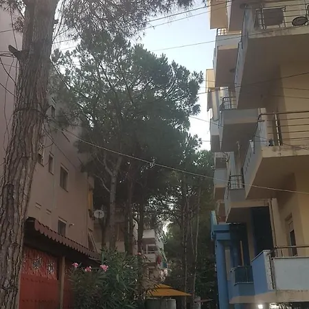 Lovely Apartment